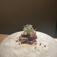 銀座 有涯 - 