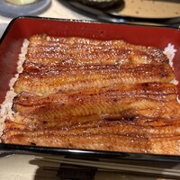 うなぎ 目白ぞろ芽 - 