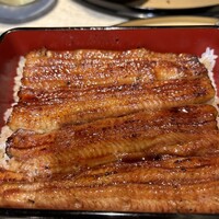 うなぎ 目白ぞろ芽 - 