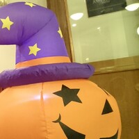 THE KOBECRUISE コンチェルト - 
