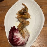 イジルシ インシエーメ - 