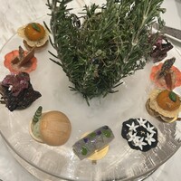 Galerie ASAHINA - 