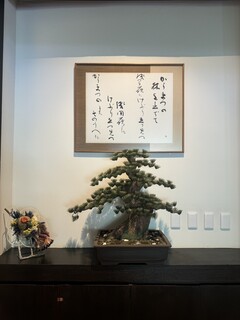 Japanese cuisine  Karatsu