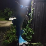 鮎茶屋 かわせ - 