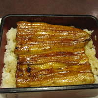 割烹 蒲焼 大沼 - うな重（中）：２３００円
