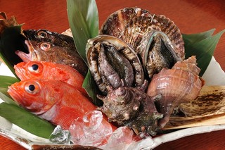 Kanzesui - 港から空輸便 直送の 鮮魚。　刺身は勿論、　煮付け　塩焼き