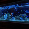 アクアリウムダイニング 新宿ライム