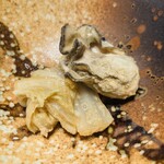 日本酒と海鮮 痛風屋 - 