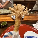 なかむら - ヤングコーン