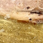 楽観 - さらにアップ