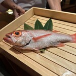 のどぐろ専門 銀座中俣 極 - 