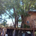 Cafe KaZe - 