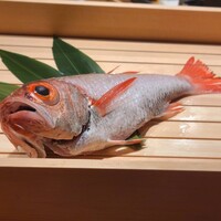のどぐろ専門 銀座中俣 極 - 