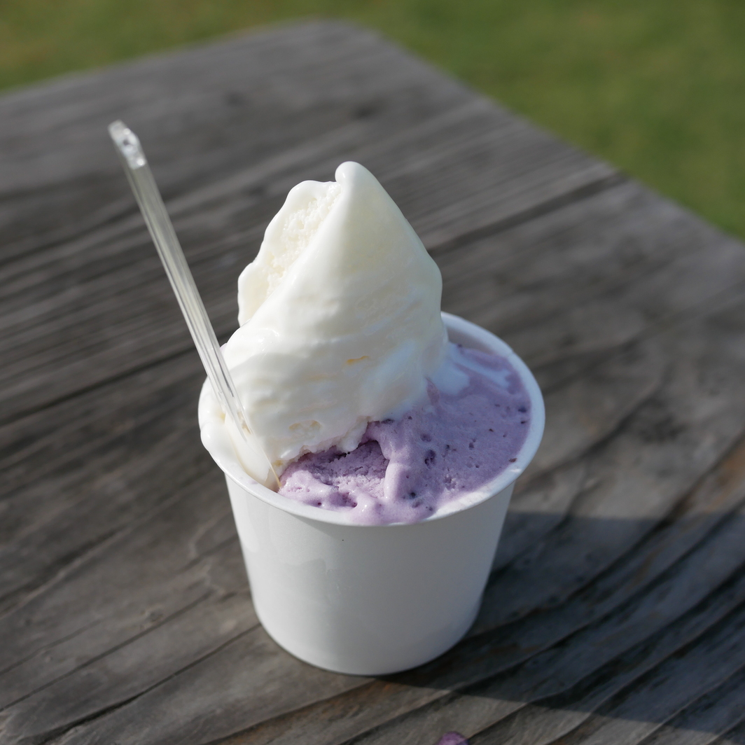 写真 : ミルミル本舗 本店 - 石垣市/ジェラート・アイスクリーム