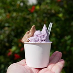 ミルミル本舗 - 