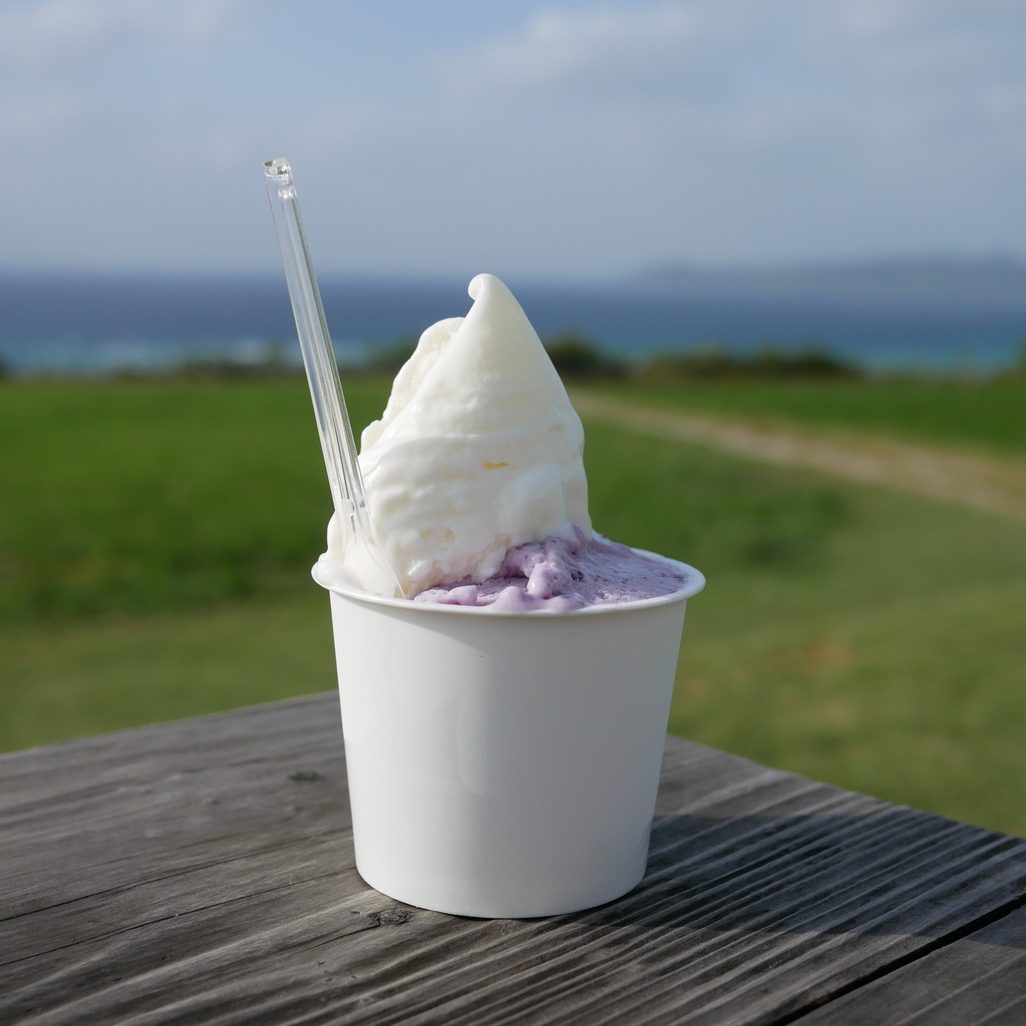 写真 : ミルミル本舗 本店 - 石垣市/ジェラート・アイスクリーム