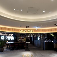 BLUE YARD - 