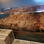 日比谷 蟹みつ - 