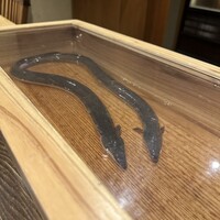 にょろ助 銀座 - 