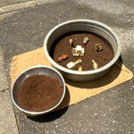 スペシャルティコーヒー豆専門店 トライブ - 