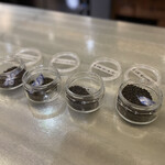 アントシカダ - 