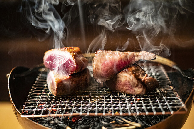 Ludens, Kyoto, Japan