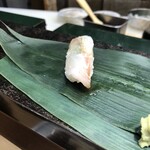 仙令鮨 - ヒラメ