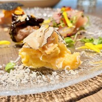 ダルマット 六本木ヒルズ店 - 