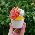 カルナ - ☆自然をバックに(#^.^#)☆