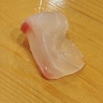 鮨 しゅん輔 - 真鯛