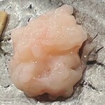 鮨 しゅん輔 - 甘海老の塩辛