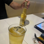 Cafe & Bar NOCTILUCA  - 