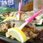 蛍 - 天然「郡上鮎」の塩焼き