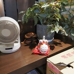 NIBOSHI MANIA - カウンター隅の置物