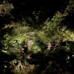 成生 - 太田道灌築庭のお庭