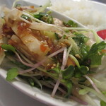 小さな街の食堂 cafe MISTY - 水菜、みょうが、きゅうりなどの野菜の下には…？