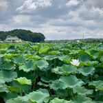 プレゼンテ スギ - 