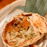 コンペイトウ - 