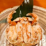 コンペイトウ - 