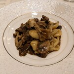 YUNTANZA CANOVIANO - 