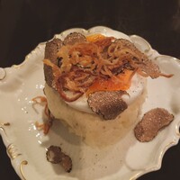 Potoro - 