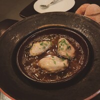 Potoro - 