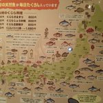 さかなや - 日本ではいろいろな魚が水揚げされると思う瞬間