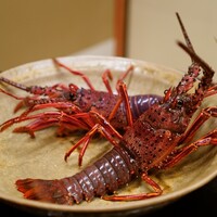 本湖月 -  本湖月 -