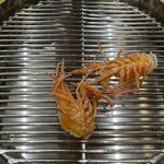 てんぷら 下村 - 車海老（足） ※高級なカッパえびせん味w