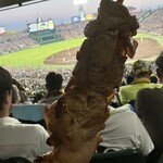 阪神甲子園球場 - 