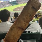 阪神甲子園球場 - 