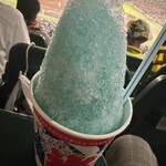 阪神甲子園球場 - 