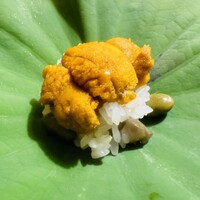 蓮 三四七 - 
