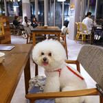 Les deux Bleue - 各テーブルにワン！